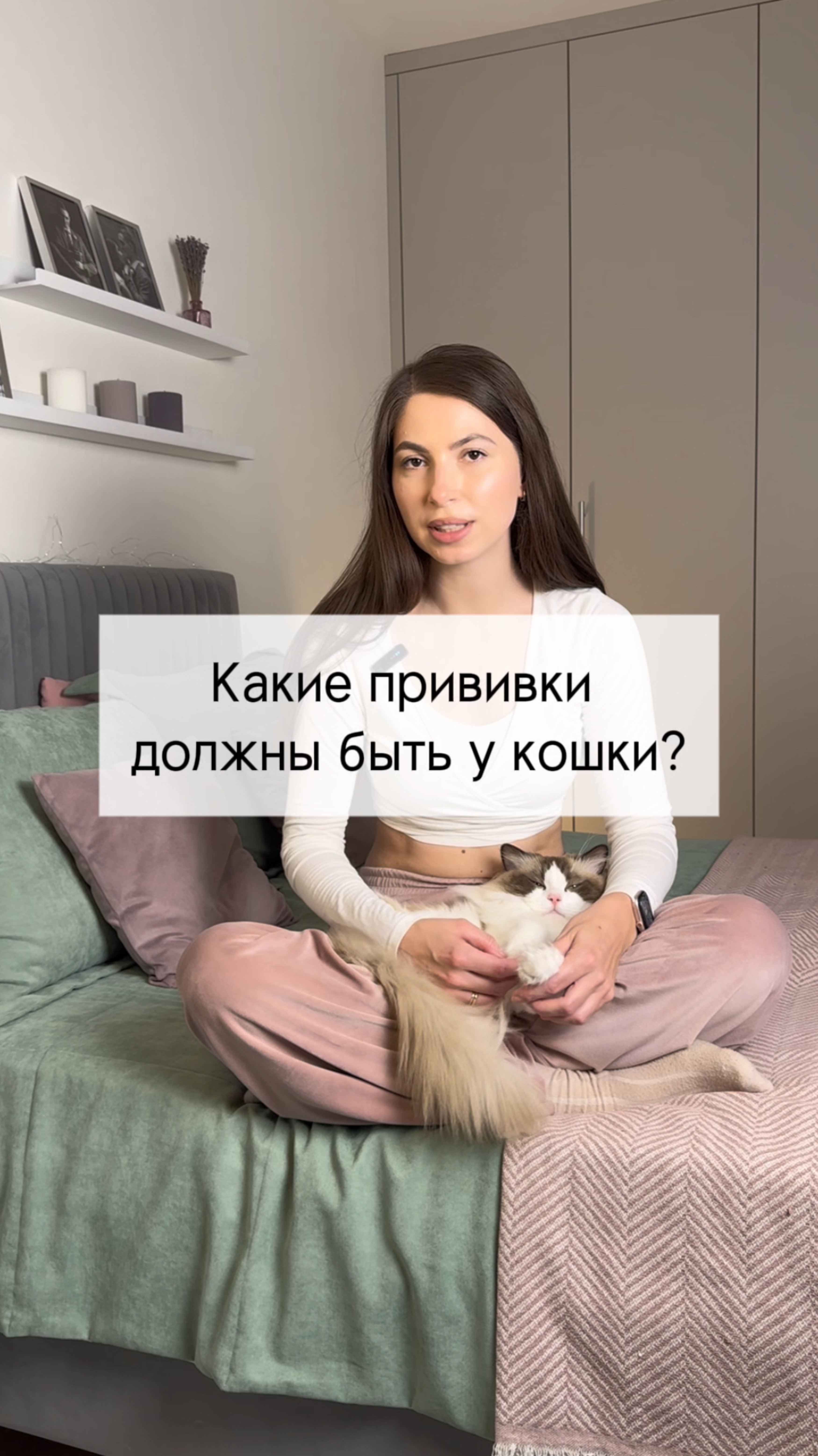 Бесплатная памятка по вакцинации в тгк #котики #рэгдолл #ветеринария #прививки #вакцинация