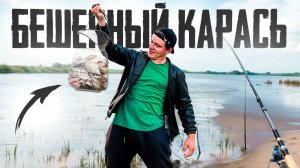 КУДА МНЕ СТОЛЬКО РЫБЫ КАРАСЬ КЛЮЁТ ДУРОМ Рыбалка с ТЕСТЕМ на поплавок и фидер в летнюю жару 2025