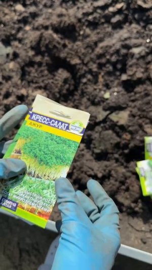 ЧТО ПОСЕЯТЬ РАННЕЙ ОСЕНЬЮ