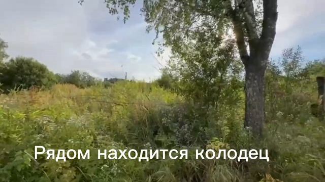 Земельный участок 12,24 соток в поселке Суда смотреть онлайн