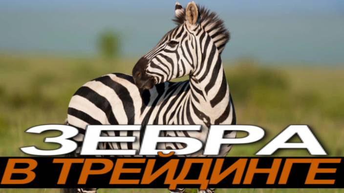 Как Торговать в ПЛЮС и НЕ сливать? #профессиональный_трейдер смотреть онлайн