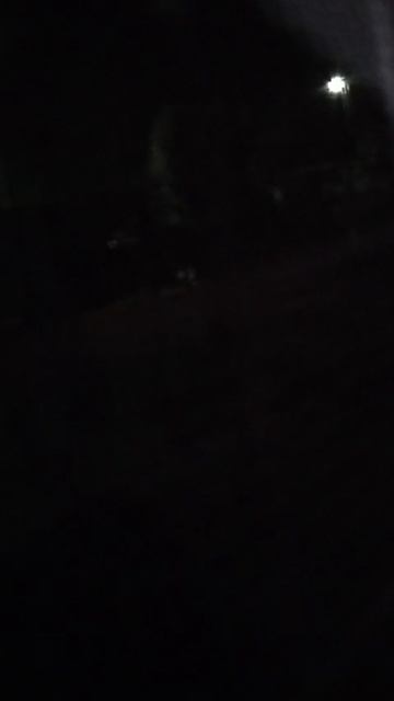 Разговорчивый хаски Ленин смотреть онлайн