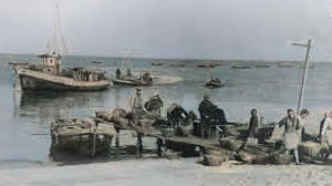 🔥💯Советский Приморско-Ахтарск.mp4