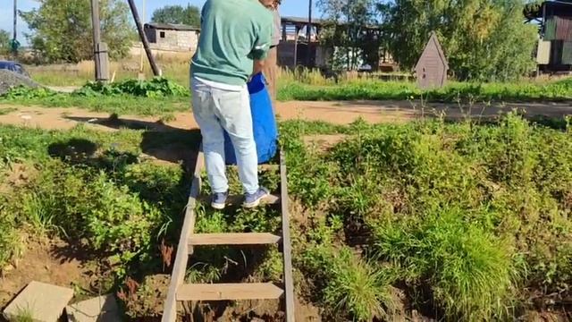 WhatsApp Video 2025-09-05 at 10.28.16 смотреть онлайн