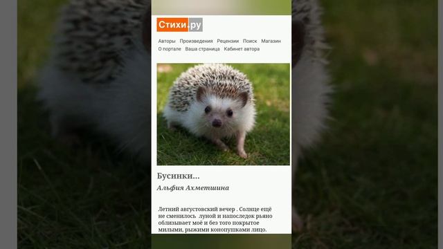 Бусинки
