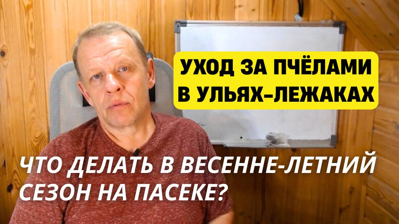 Уход зя пчёлами в ульях лежаках: что делать в весенне-летний сезон на пасеке? смотреть онлайн