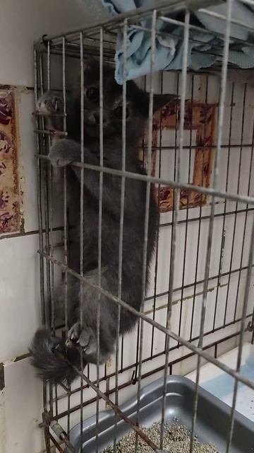 Поехали за одной нашли других