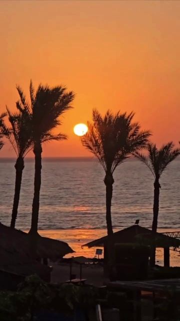 Насиба из Института полимеров желает всем приятного вечера смотреть онлайн