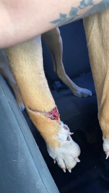 история спасения