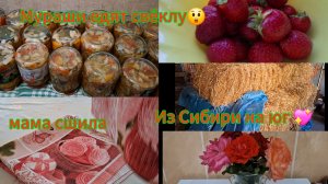 Переезд из Сибири на юг 💖/Купили дом на юге ☀️/ Солома/ Уборка/Новые полотенца/ Мураши в подвале/