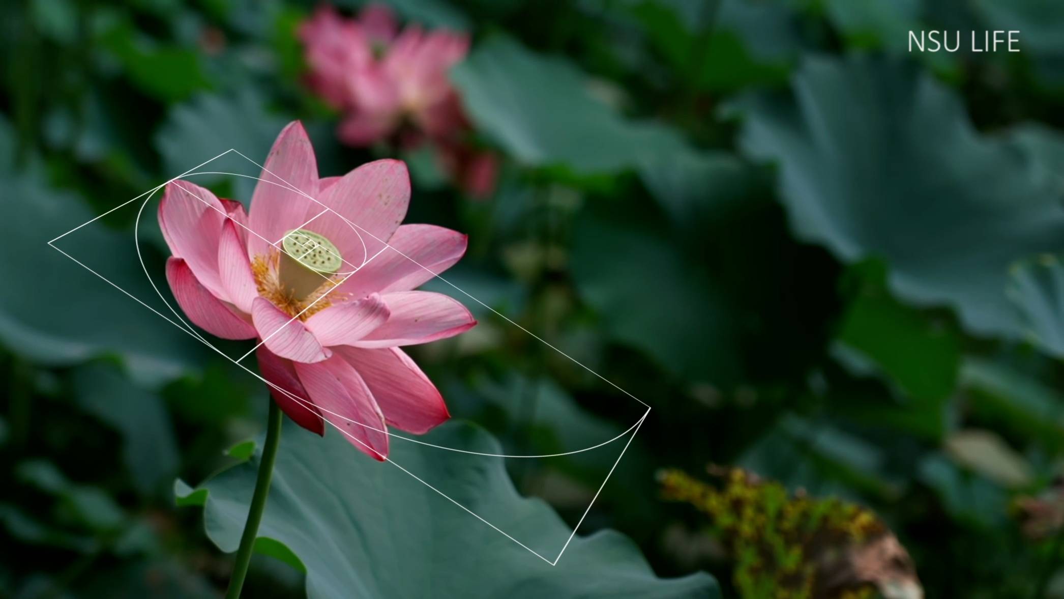 Mathematics. The Art of Ideas смотреть онлайн