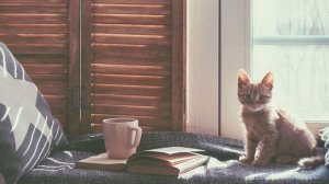 Утреннее настроение ☕Плейлист для хорошего начала дня и настроения