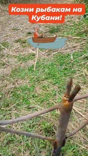 Козни (кляузы) рыбакам на Кубани!