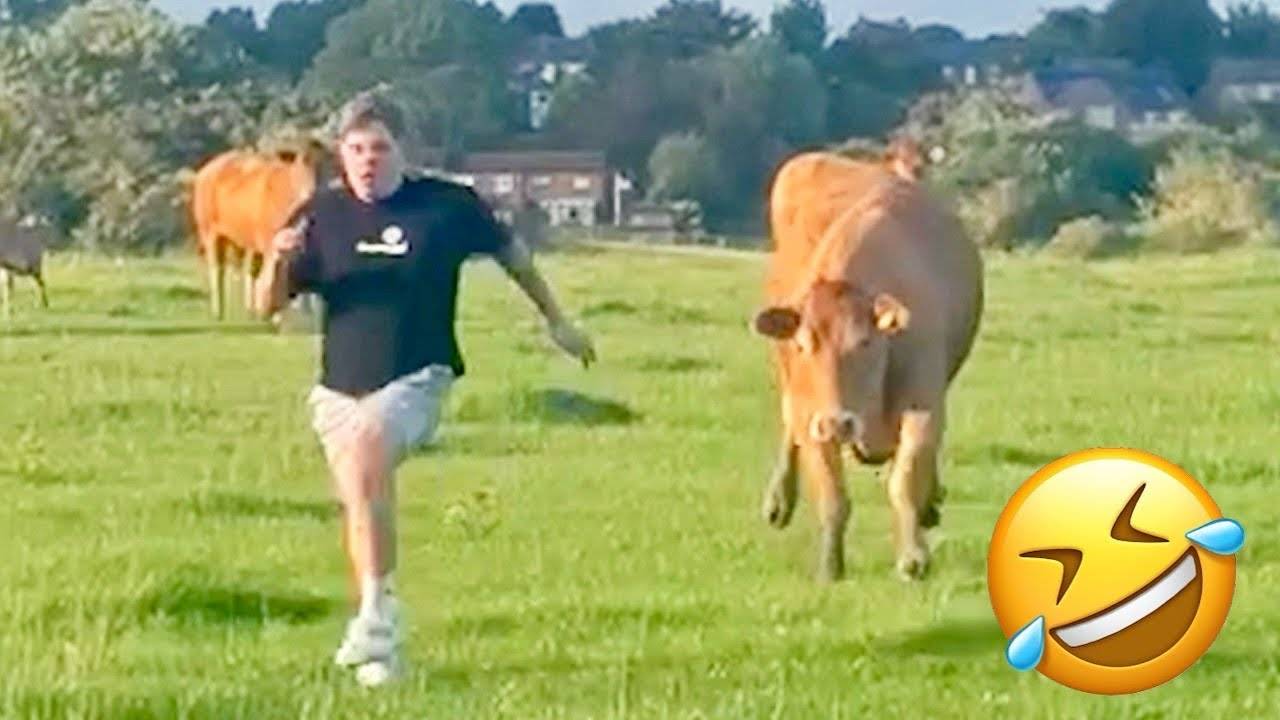 Я РЖАЛ ДО СЛЕЗ 😂 45 МИНУТ ТОПОВЫХ НОВЫХ ПРИКОЛОВ 2025 ЗАСМЕЯЛСЯ ПОДПИСАЛСЯ лютые приколы #18