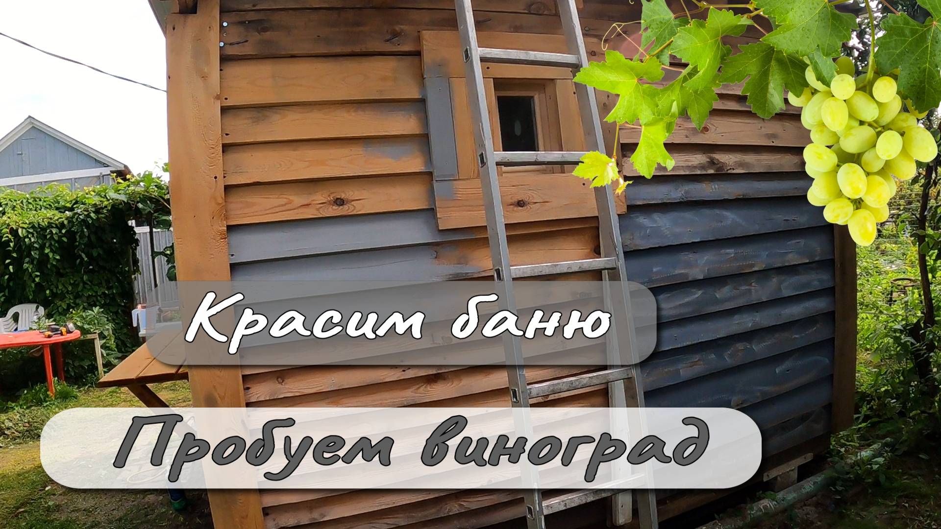 Красим баню Пробуем виноград смотреть онлайн