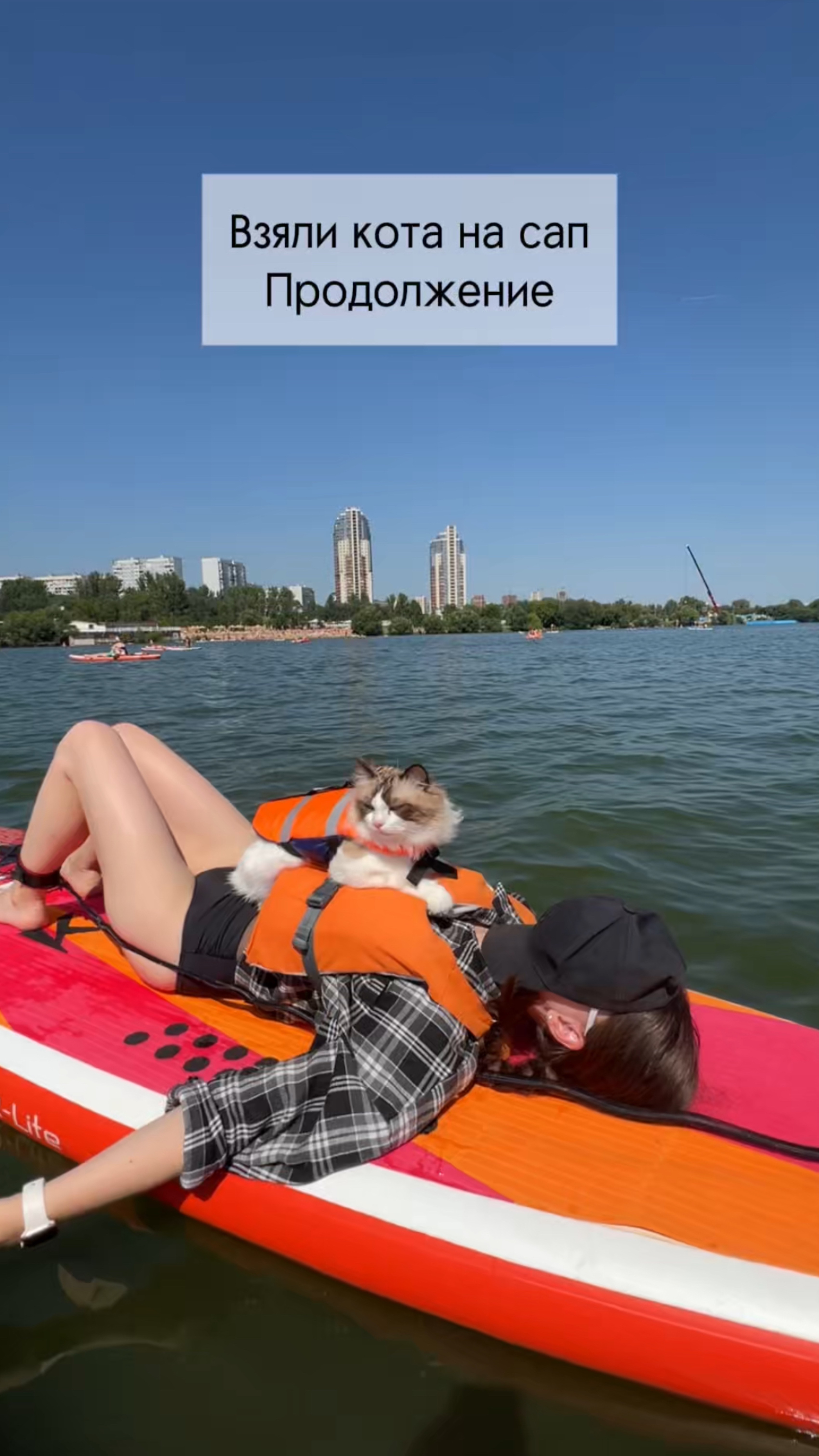 Это был тренировочный заплыв 🚣 #котики #рэгдолл #сапы #сплав #смешныеживотные