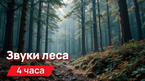 Звуки для соседей - звуки леса