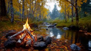 Осенний лесной костер у ручья. Расслабляющие звуки природы для сна и учёбы.