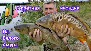На что поймать БЕЛОГО АМУРА!? #рыбалка #карп #сазан #карпфишинг #амурнакамыш #карась #бойлы