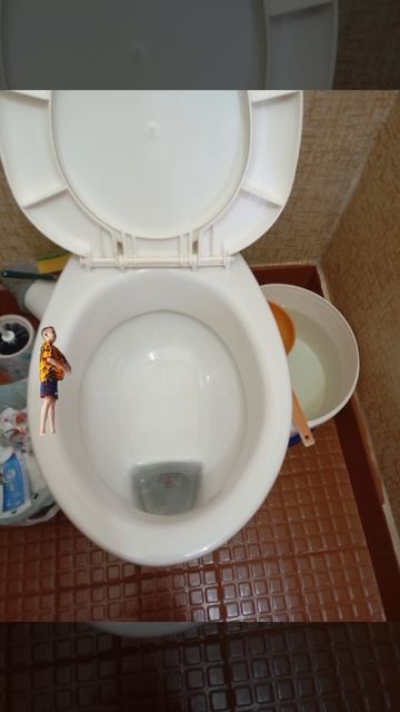 я уменьшился и прыгнул в туалет смотреть онлайн