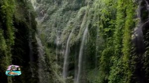 ЛЕО РОХАС - ПОЛЕТ КОНДОРА - КРАСИВОЕ ВИДЕО ПОД ЗАВОРАЖИВАЮЩУЮ МУЗЫКУ! 🌴🌞🌴