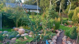 Любимая дача в сентябре-природа рассказывает свои последние летние истории 🤗🌞🌲🌸🤗