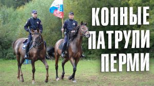 Вызов 02  Конные патрули Перми