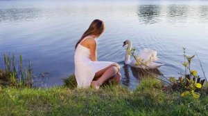 Любовь уставших лебедей