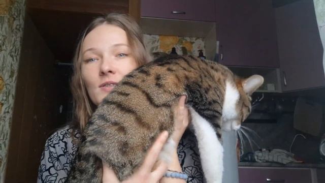 высказалась смотреть онлайн