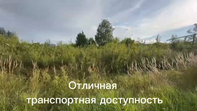 Земельный участок 16,26 соток в поселке Суда смотреть онлайн