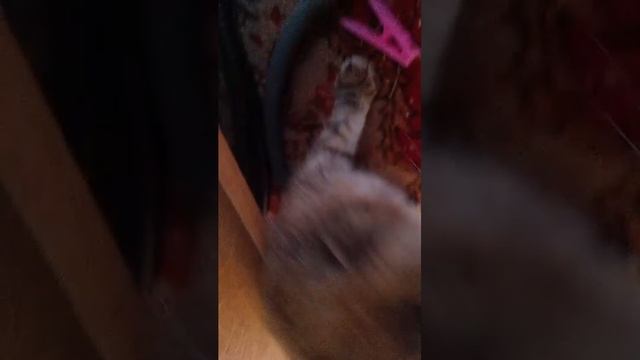 следим за саседами