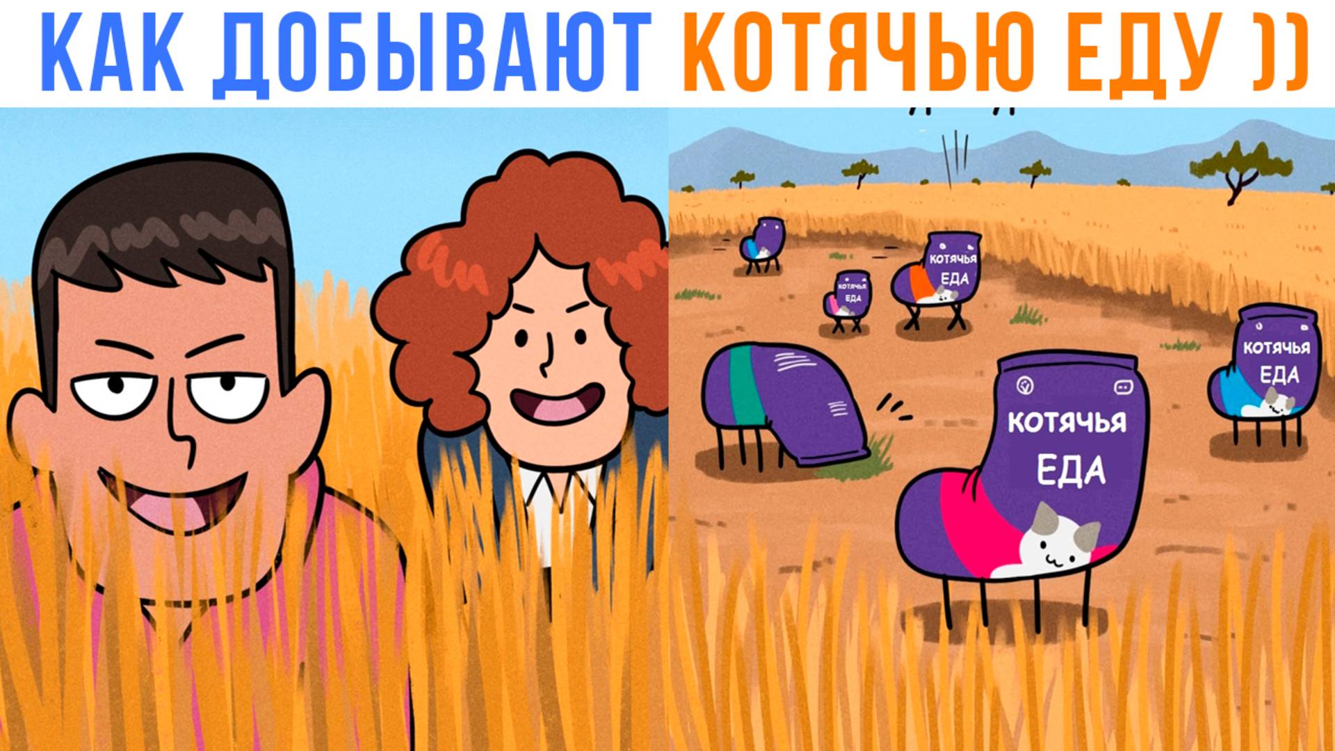 КАК ДОБЫВАЮТ КОТЯЧЬЮ ЕДУ ))) Приколы | Мемозг 1660