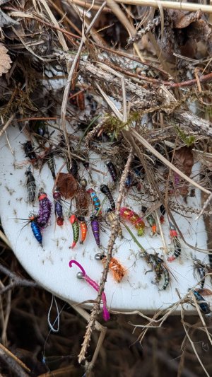 Вот это удача!Нашел планшет с мухами!