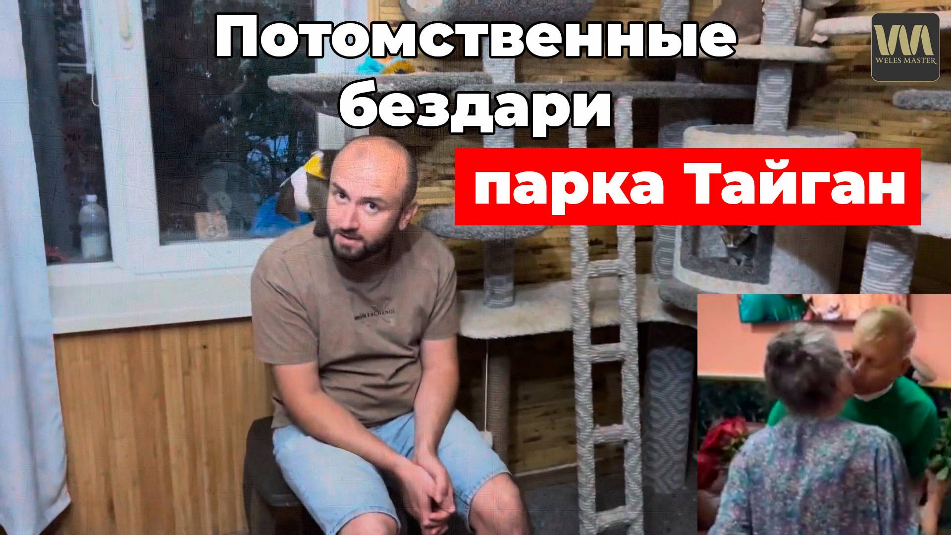 Потомственные бездари парка львов Тайган , 5 сентября смотреть онлайн