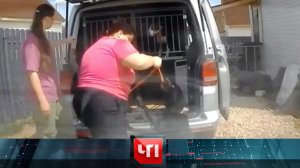 «ЧП»: 5 сентября 2025 года | «Чрезвычайное происшествие» на НТВ