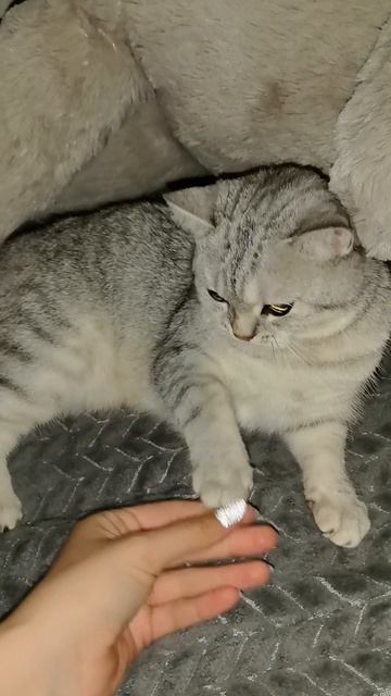 Утро сегодня  началось  очень  интересное... 05-09-2025