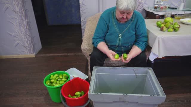 Завалил маму домашними помидорами она радуется как ребенок Так вкусно кушаем всей семьёй дома смотреть онлайн