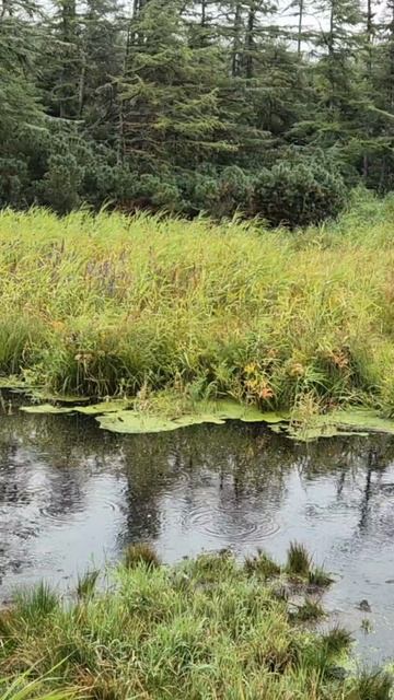 Топи Сахалина.  Горячие ключи
