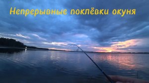 Обзор спиннинга DAYO "Hitman" 0,1-3 g. 1,98. Непрерывные поклёвки окуня на микроджиг!