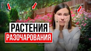 ВЫ ПОЖАЛЕЕТЕ, если выберете ЭТИ РАСТЕНИЯ 💔 7 Кустарников и Цветов, которые я больше НЕ ПОСАЖУ...
