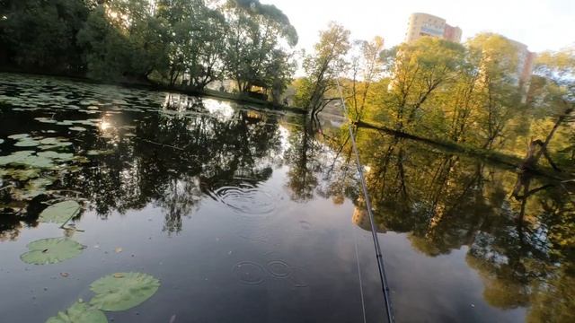 Рыбалка 5 сентября р.Десна #рыболовтроицк #рыбалка #спиннинг #щука #Троицк