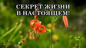 СЕКРЕТ ЖИЗНИ В НАСТОЯЩЕМ! Как только вы осознаете это, ваша жизнь изменится к лучшему!