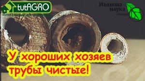ЗОЛОТЫЕ ХОЗЯЙКИ УЖЕ ИСПОЛЬЗУЮТ ЭТО СРЕДСТВО и никаких забитых труб и насекомых в ванне и кухне!