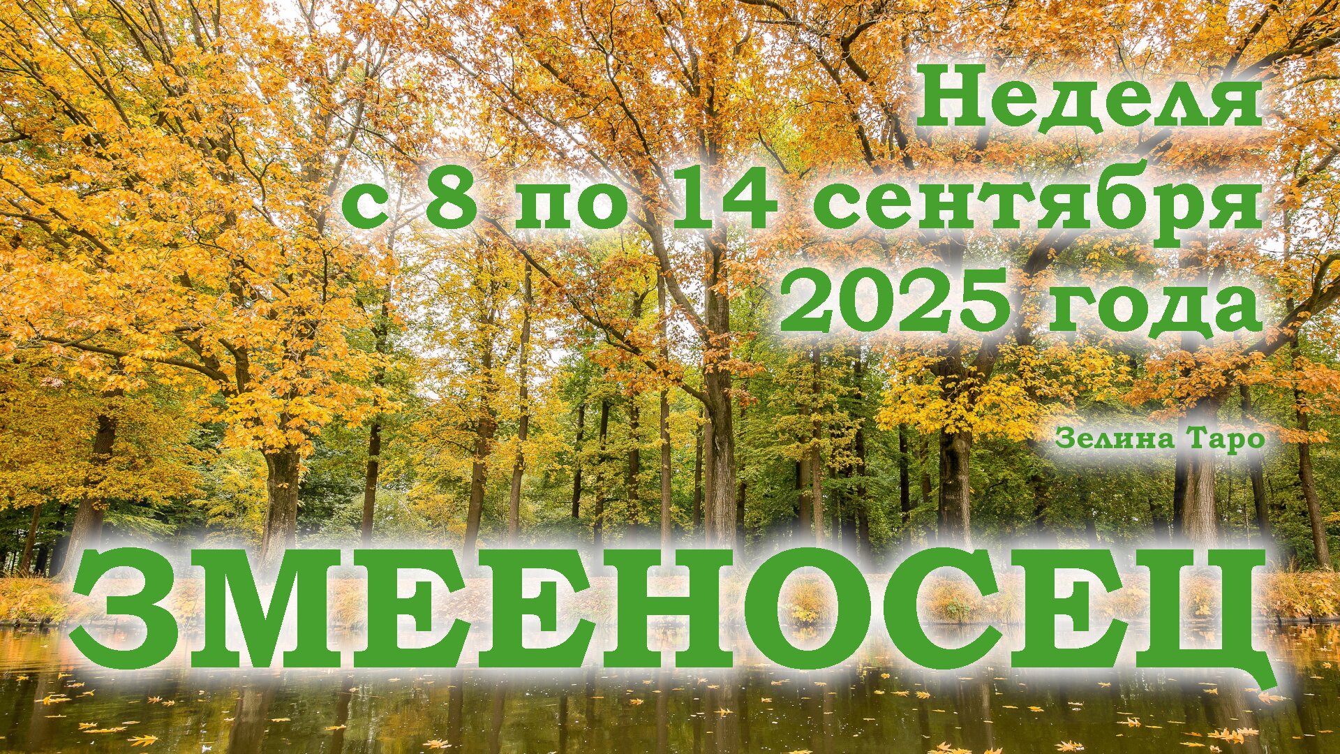 ЗМЕЕНОСЕЦ | ТАРО прогноз на неделю с 8 по 14 сентября 2025 года