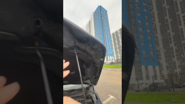 IMG_3444 смотреть онлайн