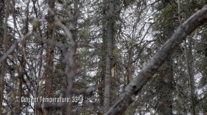 В изоляции 11 сезон 7 серия «По одной щуке» (документальный сериал, 2024)