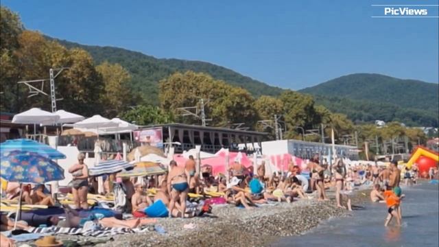 СОЧИ Лазаревское пляж Дельфин сегодня 5 сентября 2025. Погода в Лазаревском сейчас. Обстановка смотреть онлайн