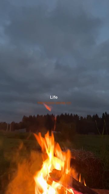 Баня спб смотреть онлайн