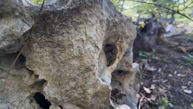 Заколдуем кольца на удачу? Ищем валуны в городе смотреть онлайн