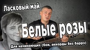 Ласковый май - Белые розы, на гитаре (для начинающих)